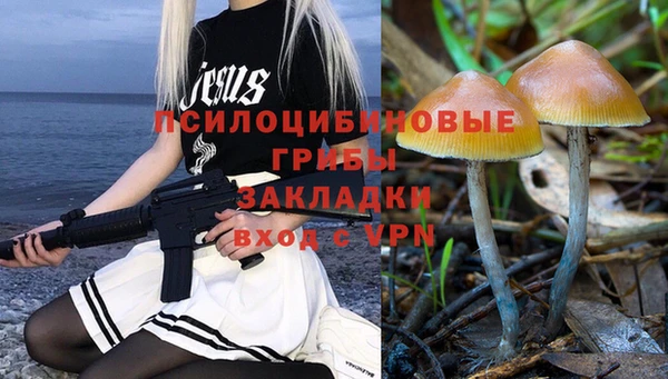 дмт Армянск