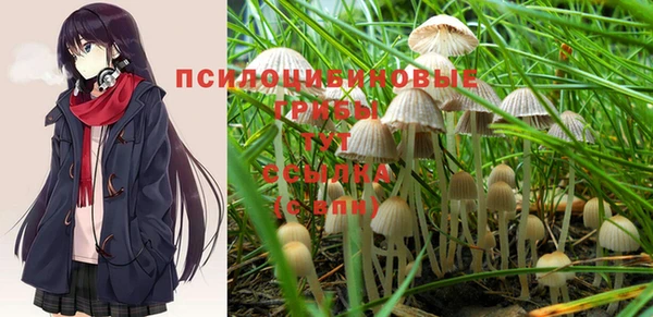 гашиш Аркадак