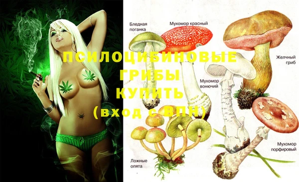 гашиш Аркадак