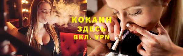 твердый Арсеньев