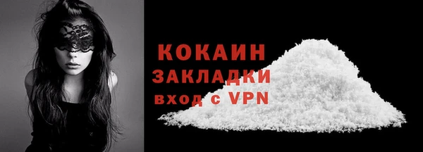 твердый Арсеньев