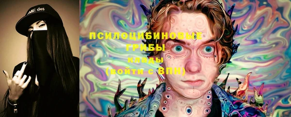 твердый Арсеньев